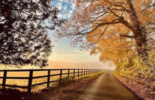 Aspen Leaves: The perfect farm retreat - Foto 22