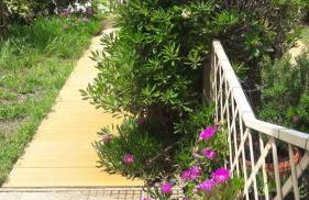 Sea beach relax - Foto 16