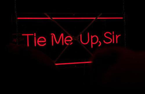 The Kinky Secret - Foto 41