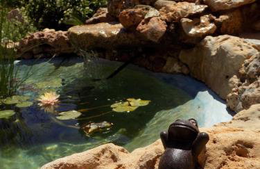 Alkionides Villas - Foto 50