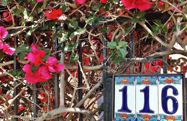 La Brisa 1 Block From the Beach! - Foto 44