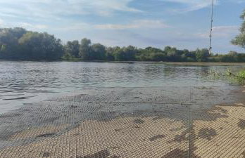 Queen bee's nest - Foto 37