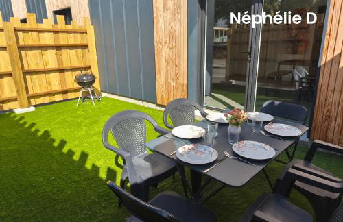 Les gîtes Néphélie votre cocon tout confort aux portes du Puy duFou - Climatisé, Terrasse, Parking - Foto 38
