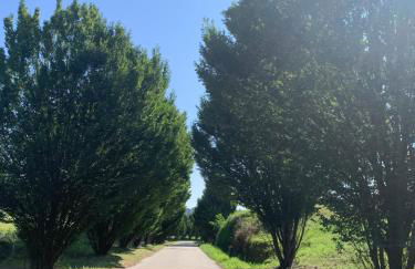 Dimore Granaio nr5 Wine & Countryside Experience, welcome box, free parking & pool - Photo 41