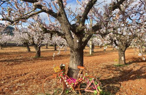 Apartment Vistamar 1 - Foto 60