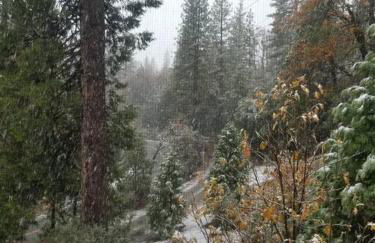 Uncle Grizz's Cabin...get intouch with nature - Foto 12