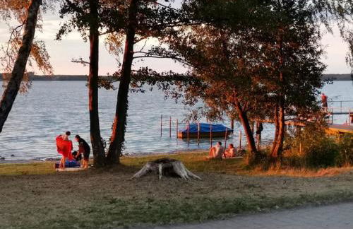 Tinyhaus Arendsee in Seenähe - Foto 19