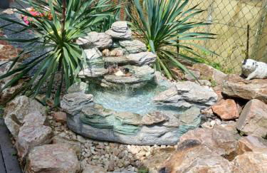 Chillkröte - Foto 36