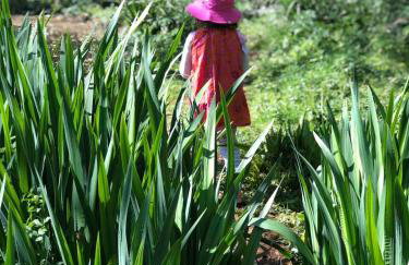 Hilly Haven & Luxury Wagon in the Forest of Dean - Foto 53