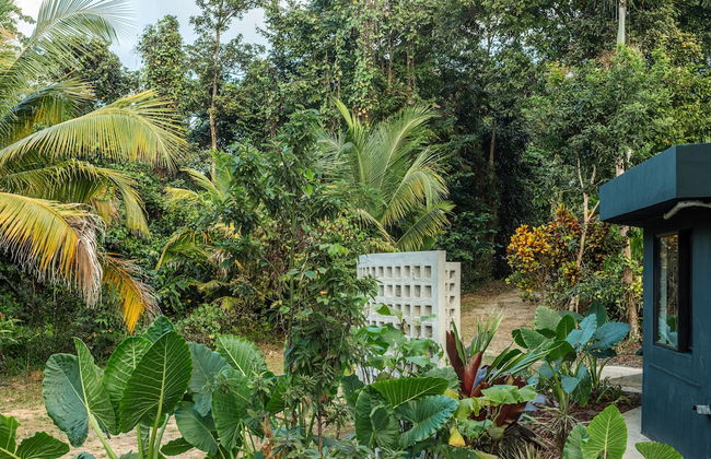 SELVA by DW - Photo 48