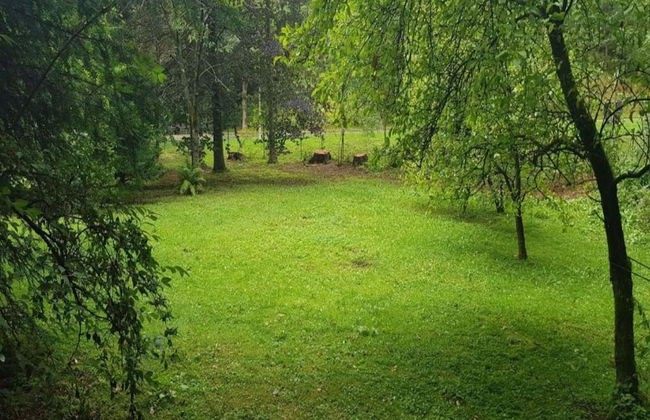 Enchanting Holiday Flat in the Harz Mountains - Foto 27