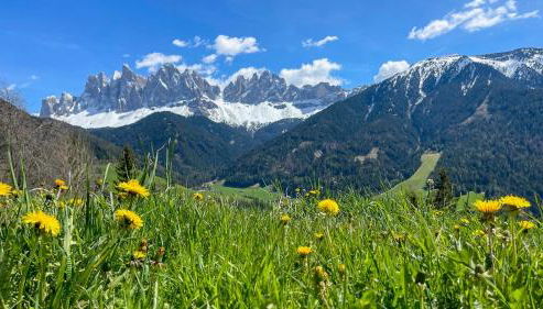 Schopplhof - panoramic apartments dolomites - Photo 5
