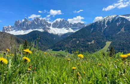 Schopplhof - panoramic apartments dolomites - Photo 5