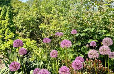 Am Flussgarten - Foto 18