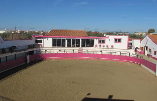 Lusitaurus - Foto 40