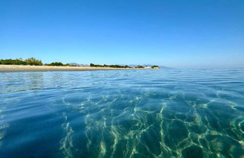 Pineto, villa 3 chambres au coeur de la pinède - Foto 32