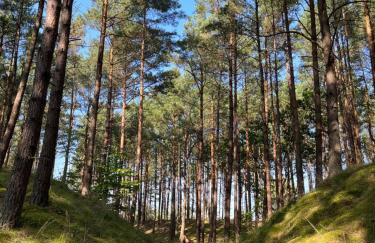 Całoroczny domek Grecki nad morzem - Foto 14