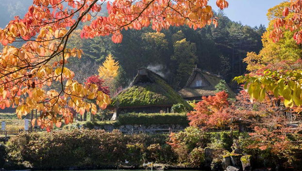 Descubriendo la aldea histórica de Shirakawago