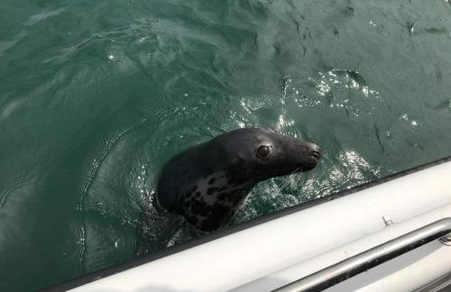 Curlew Cottage and Sunset View - Foto 41