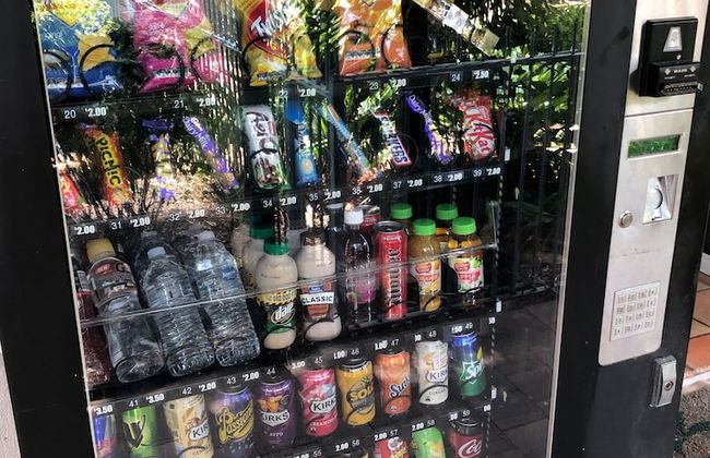 Cairns Reef Apartments & Motel - Foto 42