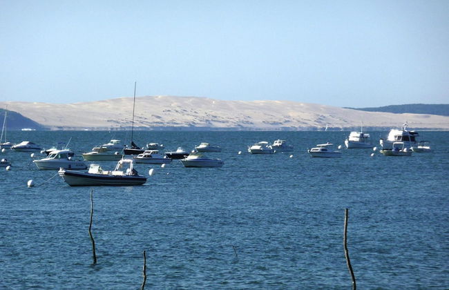 Heritage Mansion on Arcachon Bay - Foto 11
