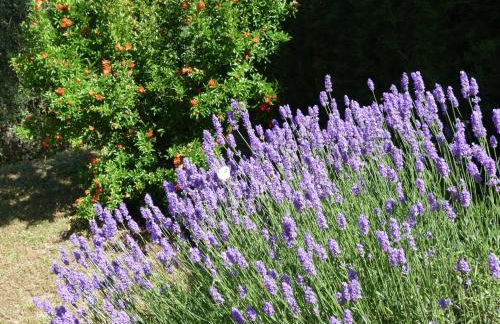 Holiday Home in Magione Above Lake Trasimeno - Foto 79