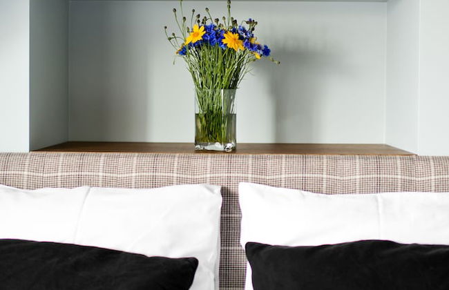 Palanga Visit apartaments - Photo 47