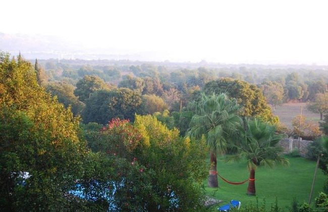 Finca Son Vivot - Photo 47