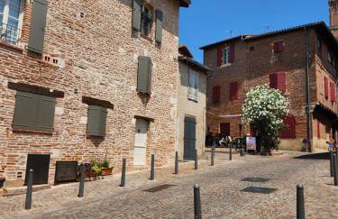 Le petit marché de Sainte Cécile- Centre historique Albi - Photo 13