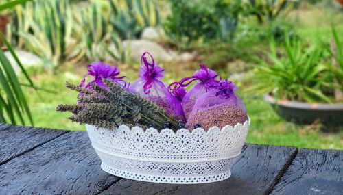 Agriturismo Podere Le Palaie - Foto 4