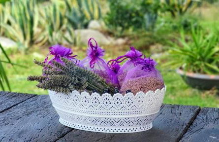 Agriturismo Podere Le Palaie - Foto 4