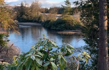Tawny Owl Pod with Hot Tub - Foto 50