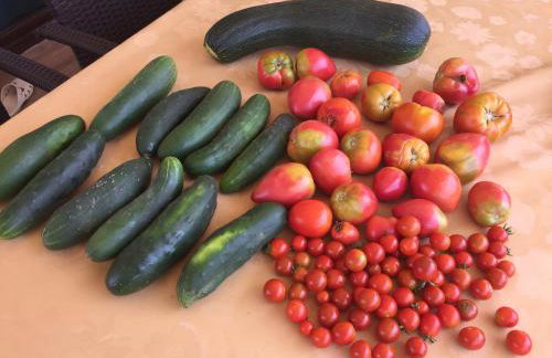 Villa Cecilia - 4 bedrooms, 4 bathrooms, heated inside pool, gym - Photo 41