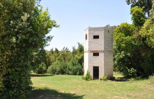 Domaine de Rieucoulon - Photo 45