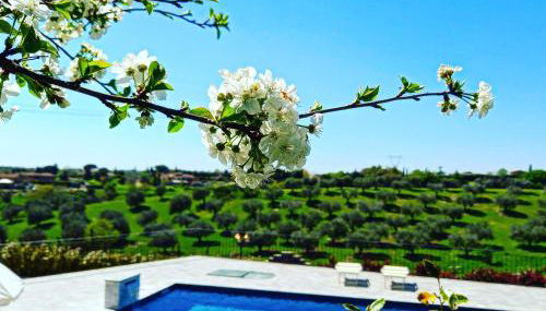 angolo di paradiso - Foto 1