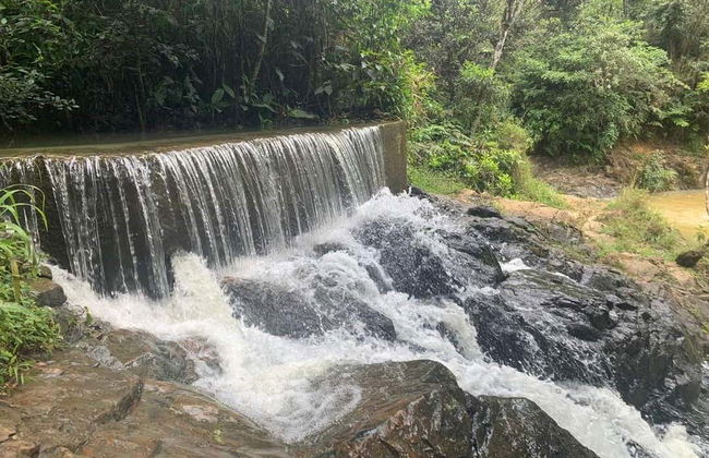 Excursión a Guavate - Foto 3