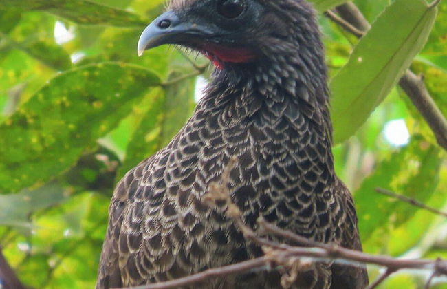 El Cielo Biohospedaje - Foto 44