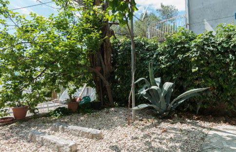 Apartments Azzurro - Photo 54