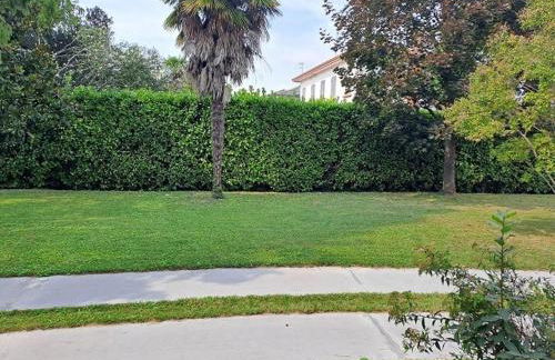 Da Marcella - Foto 23