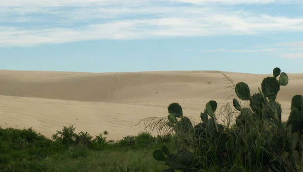 Paisagem das dunas de Tampico