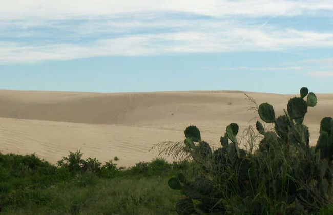 Tour della spiaggia di Dunas Doradas in buggy - Foto 4