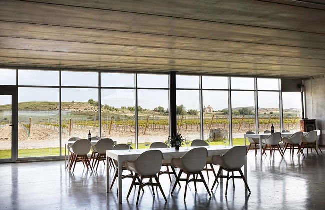 Dominio Lubiano Winery Tour - Photo 5