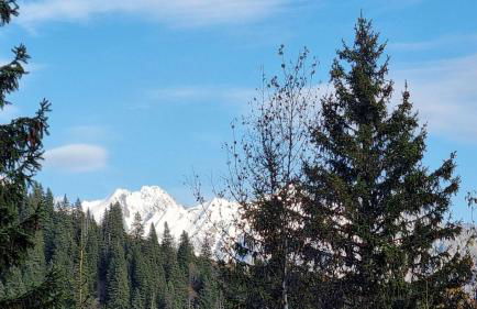 ASAI707-C03 Appartement 3 pièces - Les Saisies - 7 personnes - Foto 11