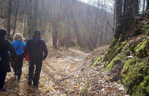 La Casa del Telar - Foto 36