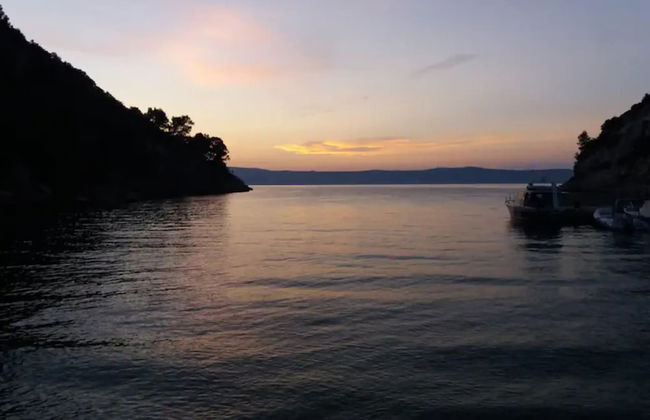 House of Green Experience - Foto 64