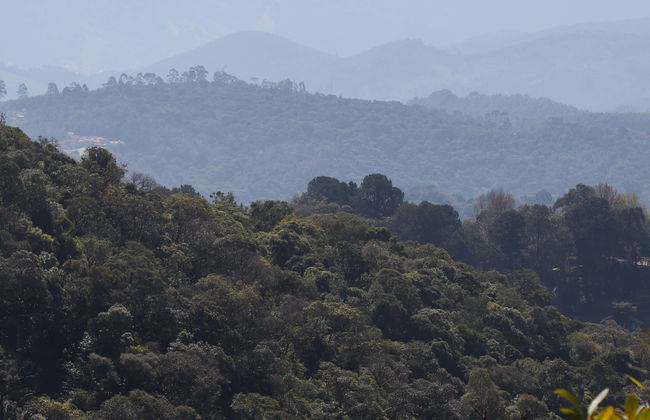 Tour de 4x4 por Monte Verde - Foto 1