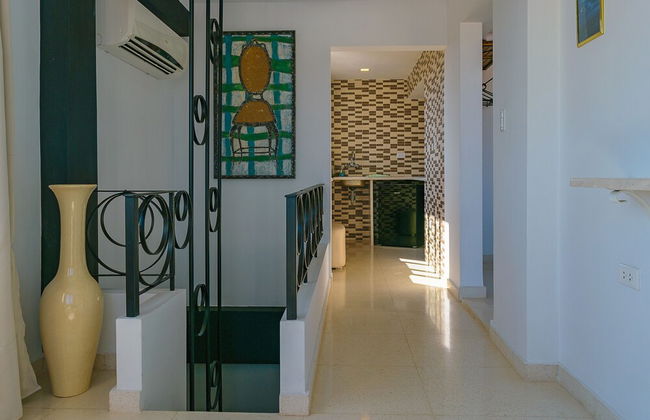 Terraza Habana - Foto 15