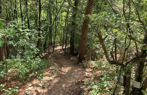 Holzhaus Devils Corner - Foto 15