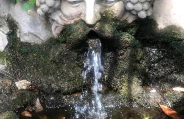 Il Pioppo Antico - Photo 50