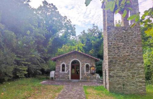 Τα πλατάνια - Foto 31